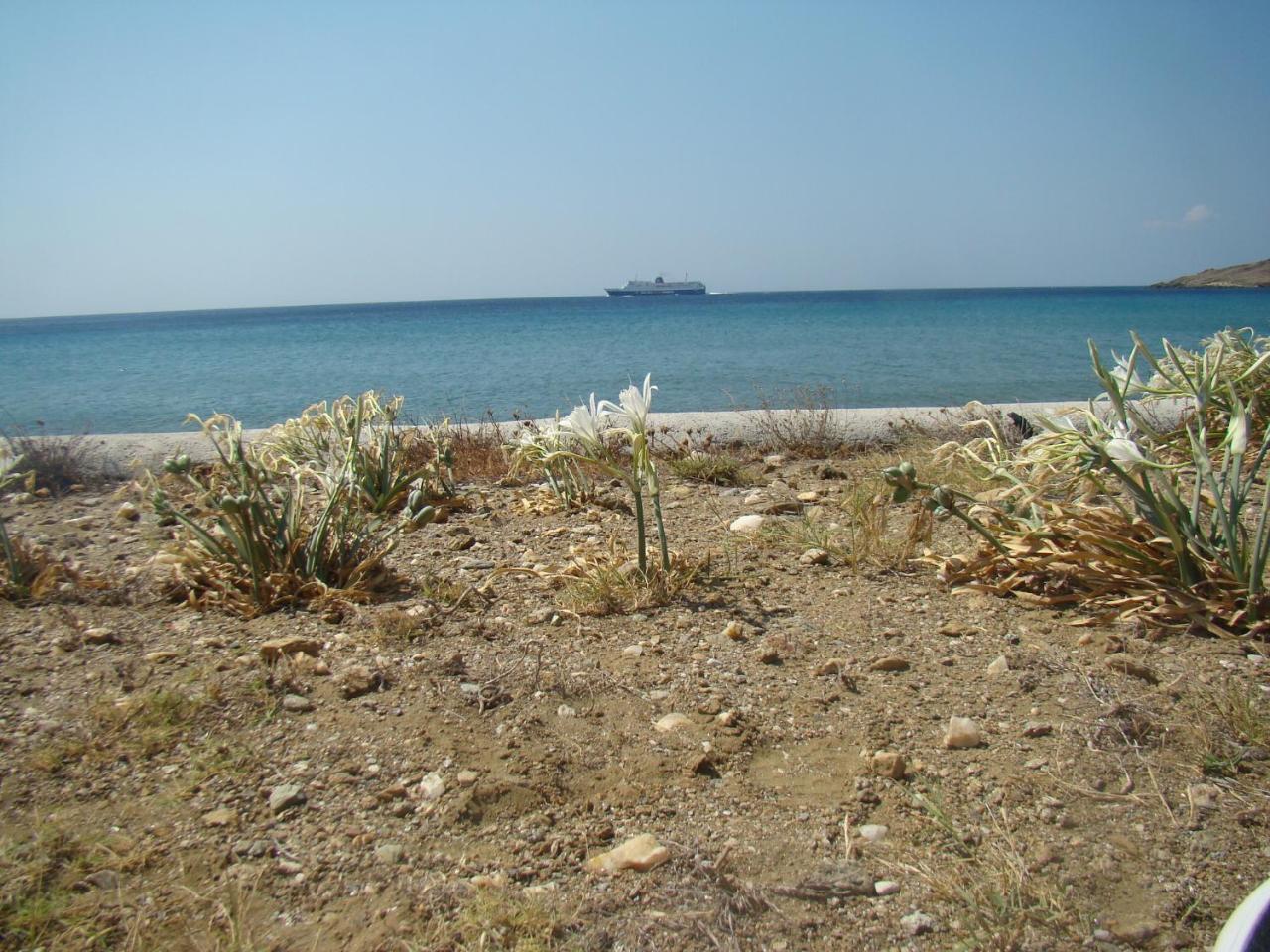 קיוניה Vrahos Studios מראה חיצוני תמונה